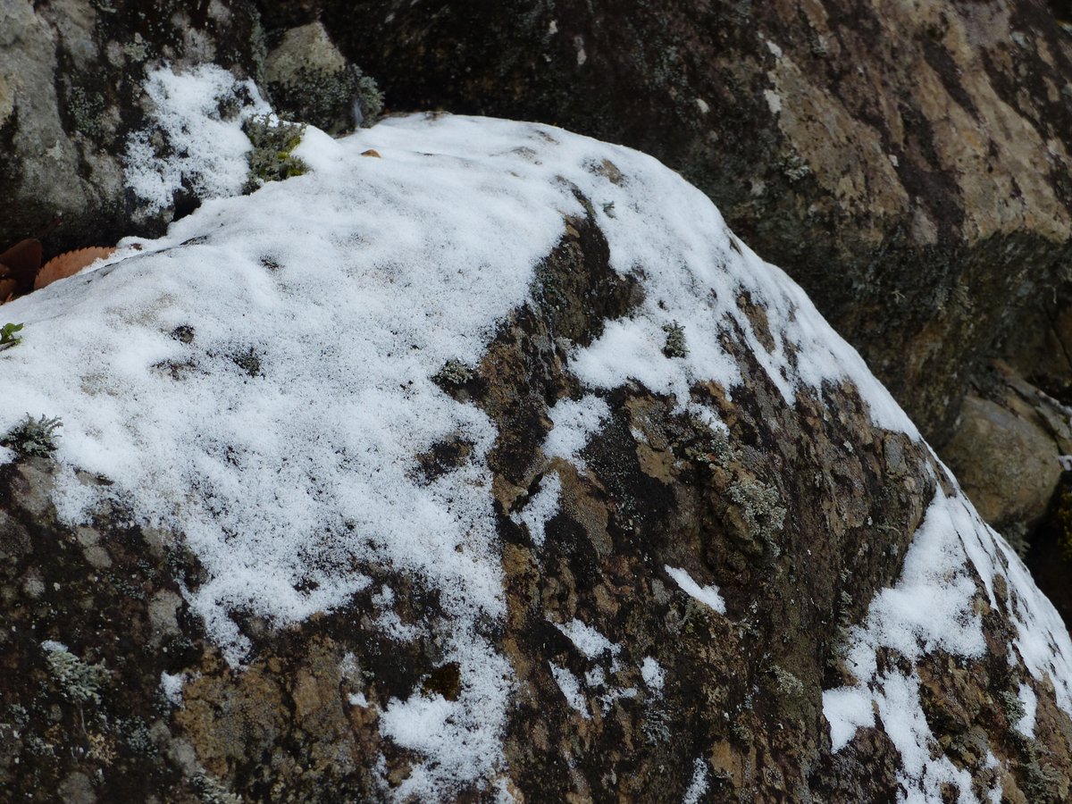 厳しい冷え込みが続く白石城です
石垣にちょっとだけ雪が残っています