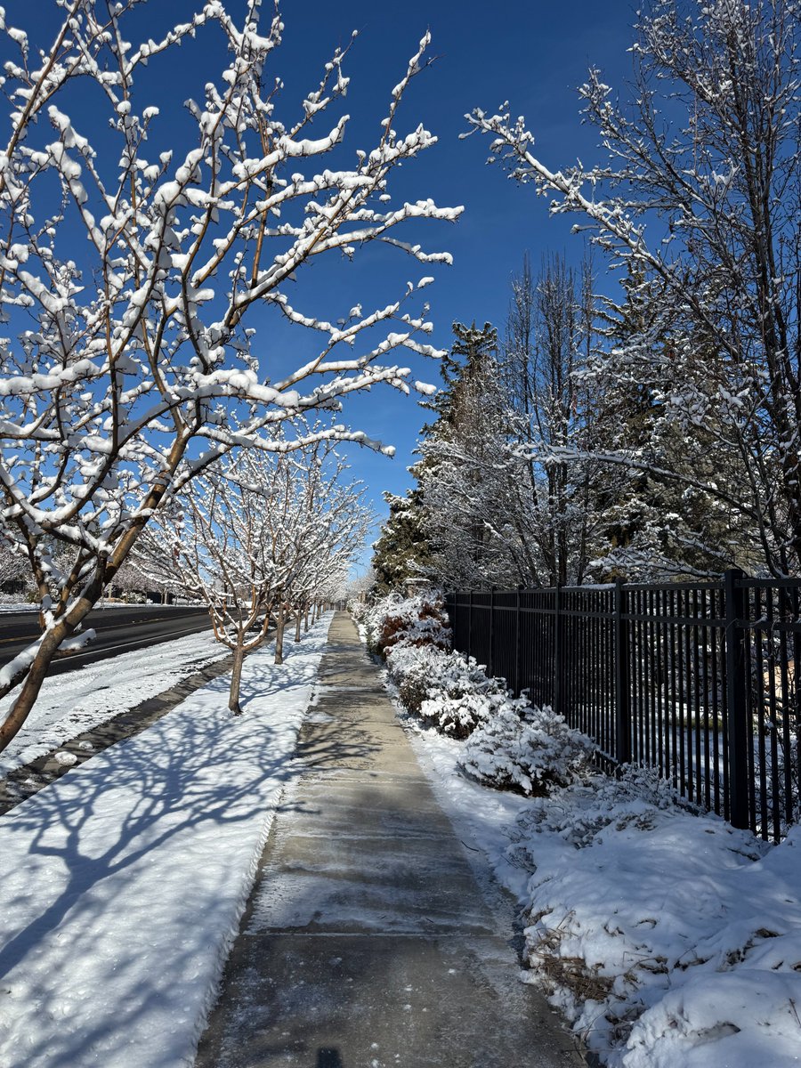 Logan winter magic never gets old.

One minute I’m scraping my windshield, the next I’m walking under snow-covered branches that look straight out of a postcard.

Northern Utah may keep us guessing, but honestly?
I love every frozen minute of it.

Move and Be Moved
Kimberly