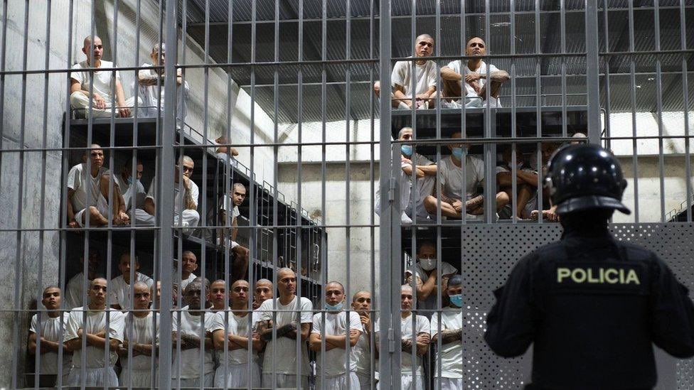 RygbiAmByth's tweet image. Arrest…#Imprison these seditious, violent Thugs to prison in El Salvador 🇸🇻 
for impeding Lawful orders and threatening #Federal Law Enforcement.

@ICEgov @ICEgovERO
