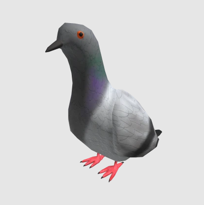 JellyfishhSol's tweet photo. Since retarded coins like testicle are sending recently, lets send jeff.

Jeff is a pigeon.

Thats it. https://t.co/tqrFgFIlty