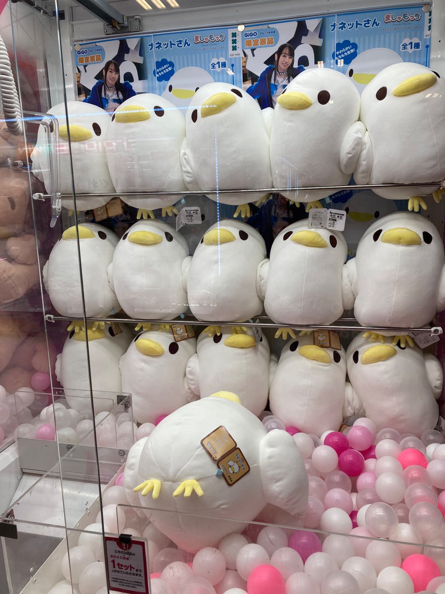 🌟景品入荷情報🌟 ナネットさん ましゅもっち ~GiGOグループのお店限定