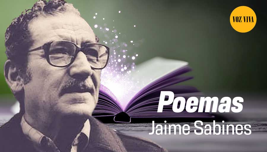 UNAM_MX's tweet image. El amor es el silencio más fino, el más tembloroso, el más insoportable”. Los amorosos callan… pero con Jaime Sabines ✍️ casi podemos escucharlos. En @descargacultura 🎧, disfruta éste y otros poemas leídos por el propio autor &amp;gt; bit.ly/47Fz9lN