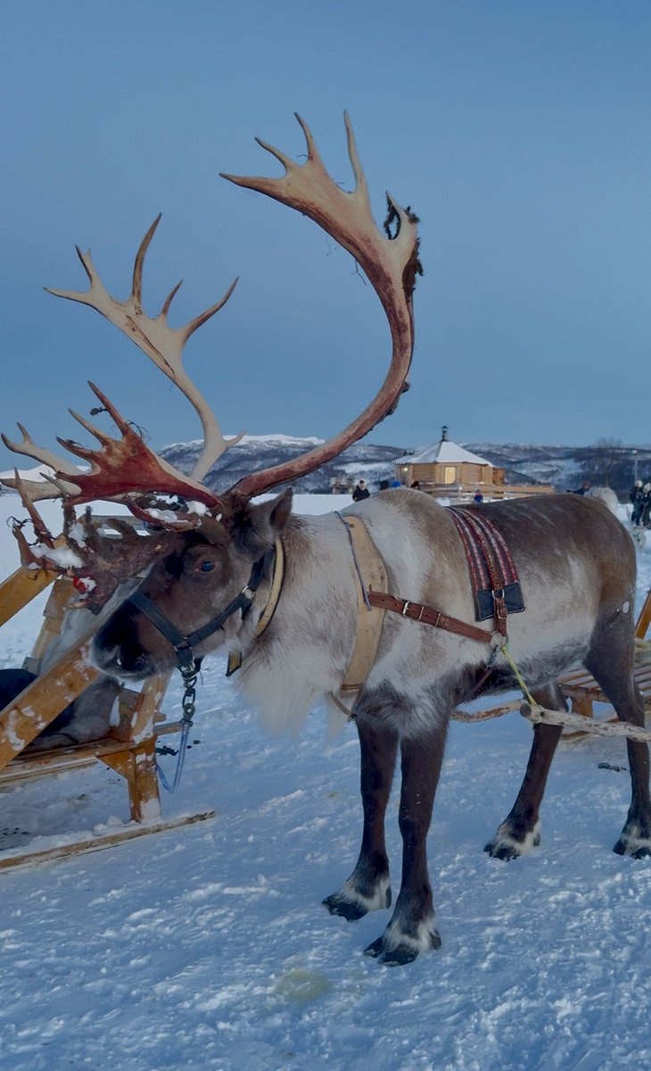 セシル☆ (@sesiru8) on X