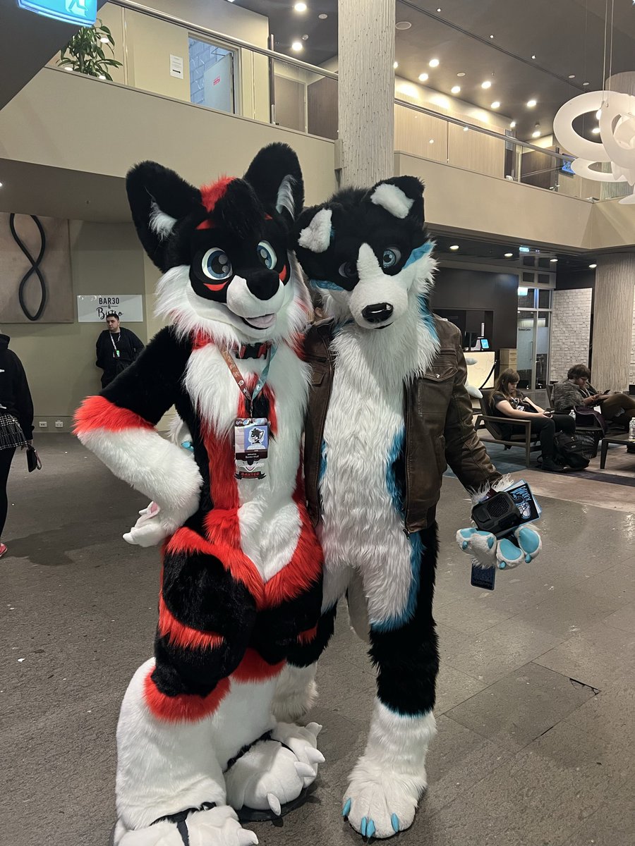 BaxterWolf tweet media