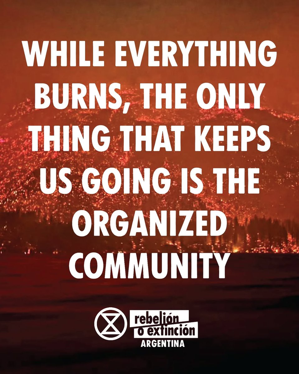 INFO PILOTS 🇦🇷 tweet media