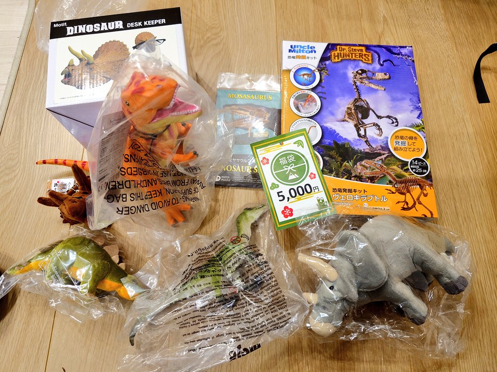 福井恐竜博物館の5000円福袋きたーー!! ソフビとぬいぐるみが娘の推し