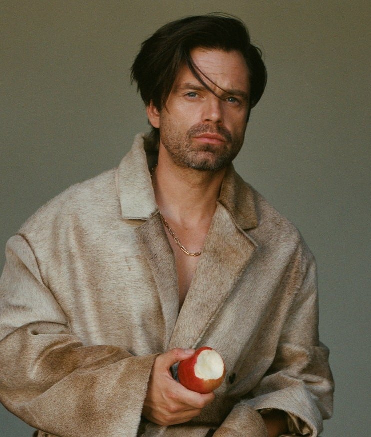 sebastian stan daily tweet media