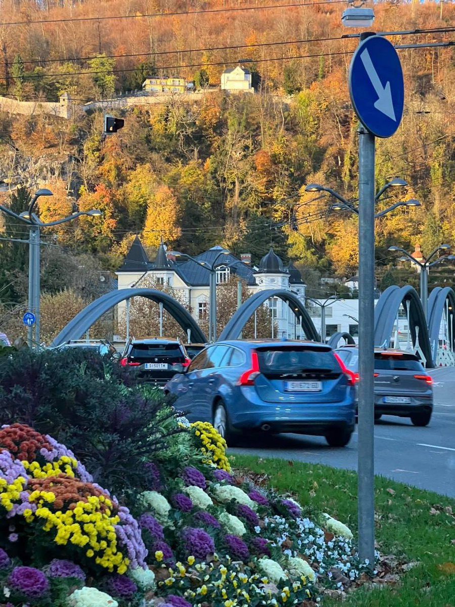 lffBOSS's tweet image. 