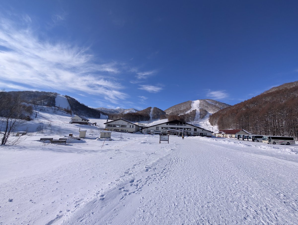 今シーズン2回目はネコマ！