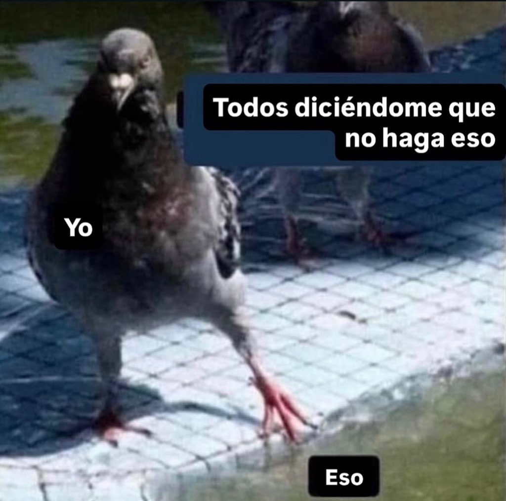 _onerolita's tweet image. 