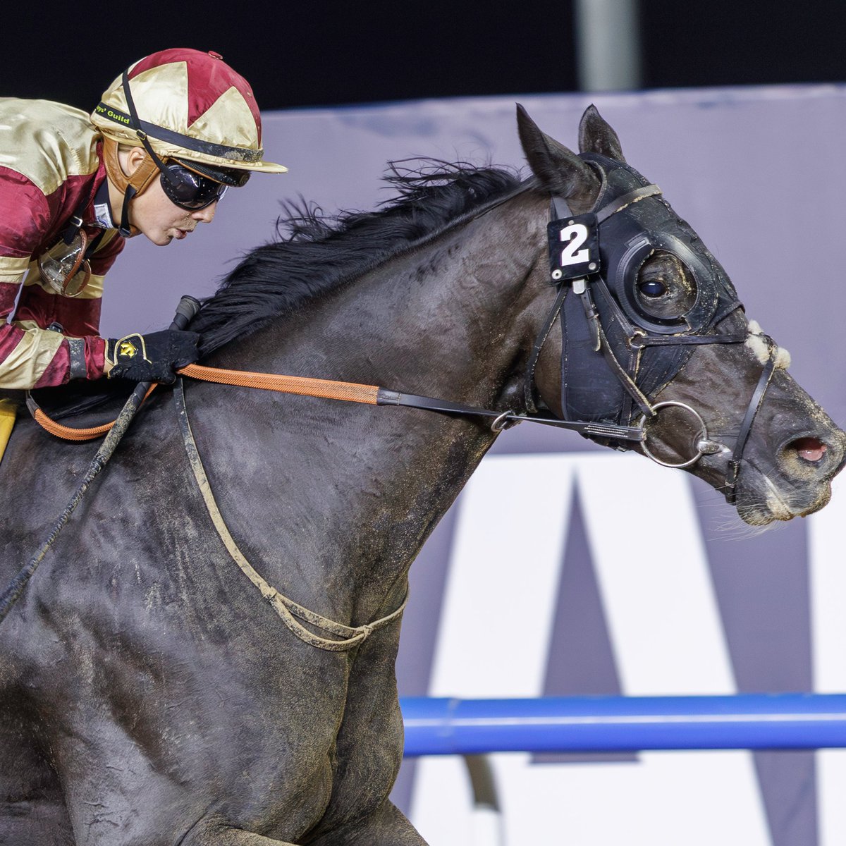 Dubai Racing Club tweet media