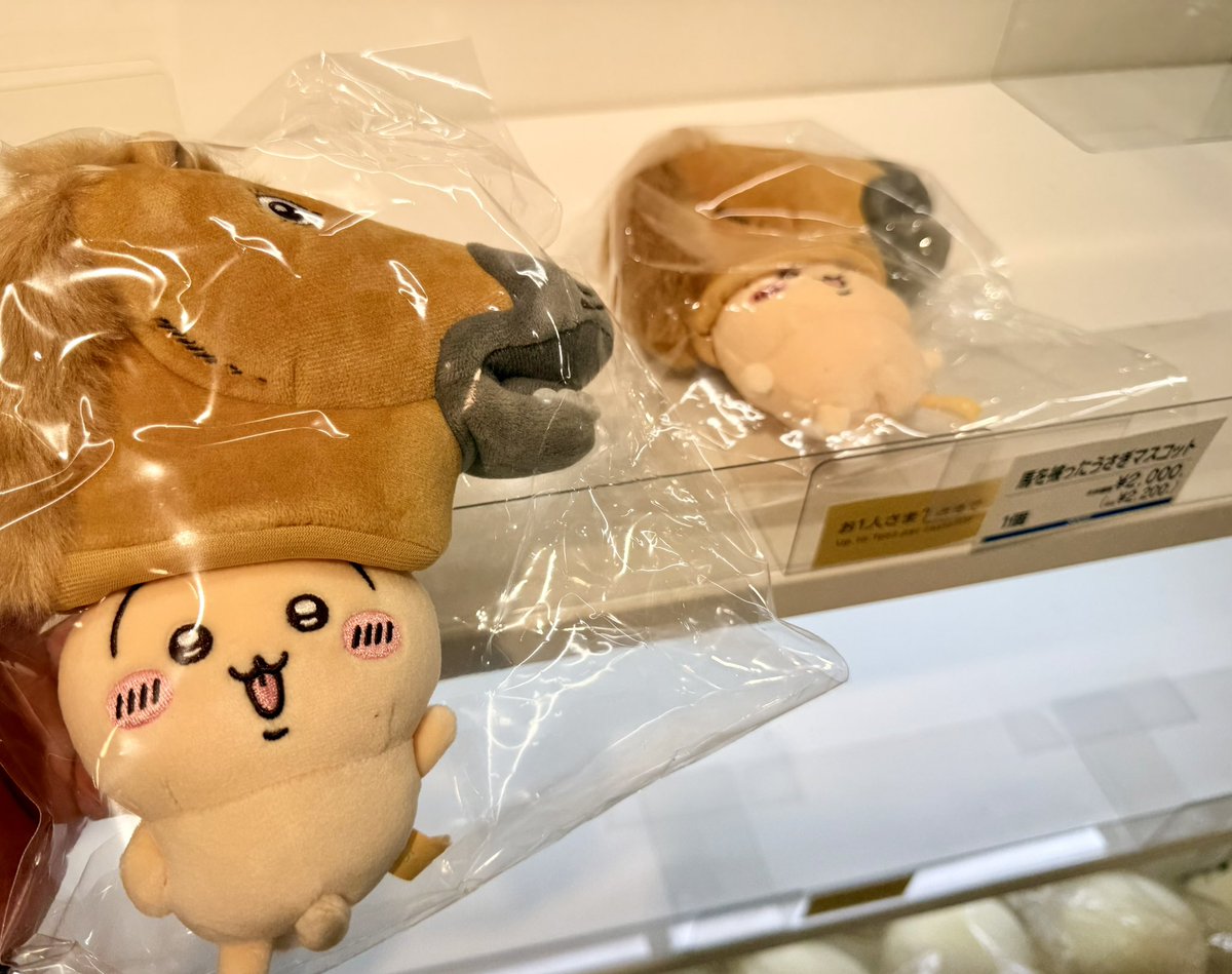 もしかしたらラス2かもでした🫢