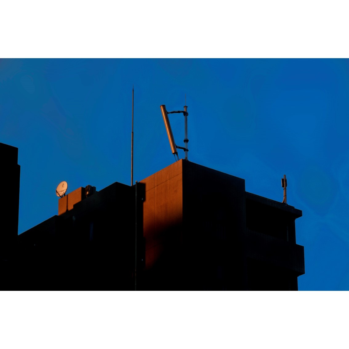 作品展が終了しました。会場で展示した作品を追加で公開します。

白鳥 真太郎 作品展
光と影、色・形 ２
会期：2025年12月26日(金)〜2026年1月15日(木)

#SonyImagingGallery #sonygallery #sony #ginzasonygallery #ginza #photography #photographer #shintaroshiratori #lightandshadow