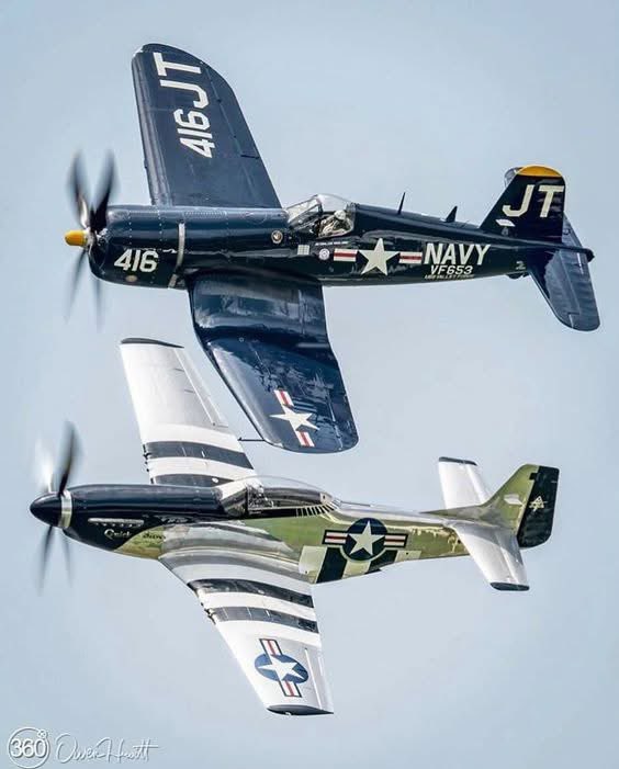 SYLVIA 🇫🇷 ♥️🇺🇦 (@sylvia70485099) on Twitter photo 