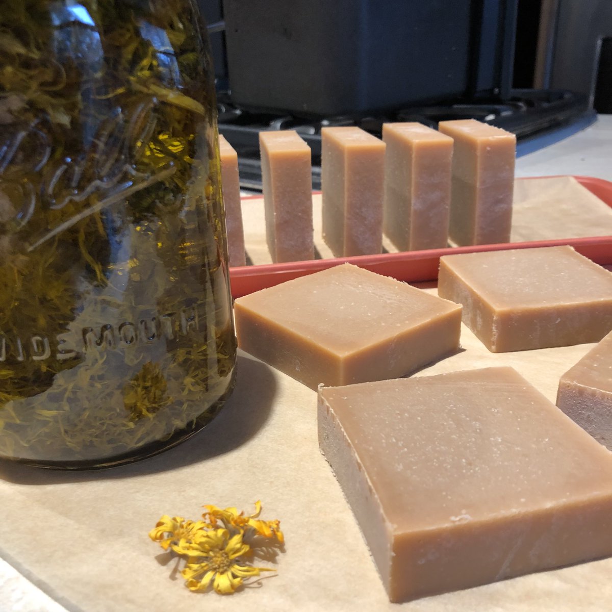 CascadeBotanicals tweet media