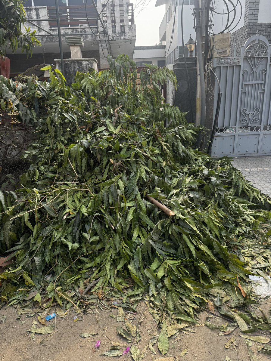 Compliant registered to collect plant garbage on 4th January’26.Multiple follow-ups but ZERO response &amp; this situation is in Civil Lines near CM house. <a href="/BhajanlalBjp/">Bhajanlal Sharma</a> <a href="/Swachh_Jaipur/">Nagar Nigam Jaipur</a> 
#CleanJaipur #CTCRAJASTHAN #Garbagefreerajasthan 

<a href="/PMU_SBM_RAJ/">Swachh Bharat Mission Urban, Rajasthan</a> | <a href="/SwachhBharatGov/">Swachh Bharat Urban</a>