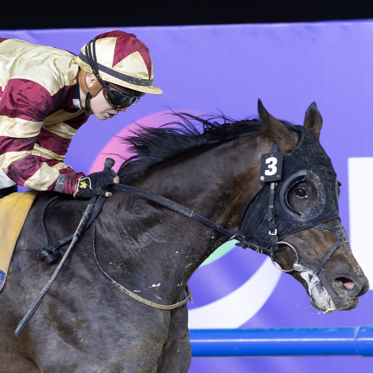 Dubai Racing Club tweet media