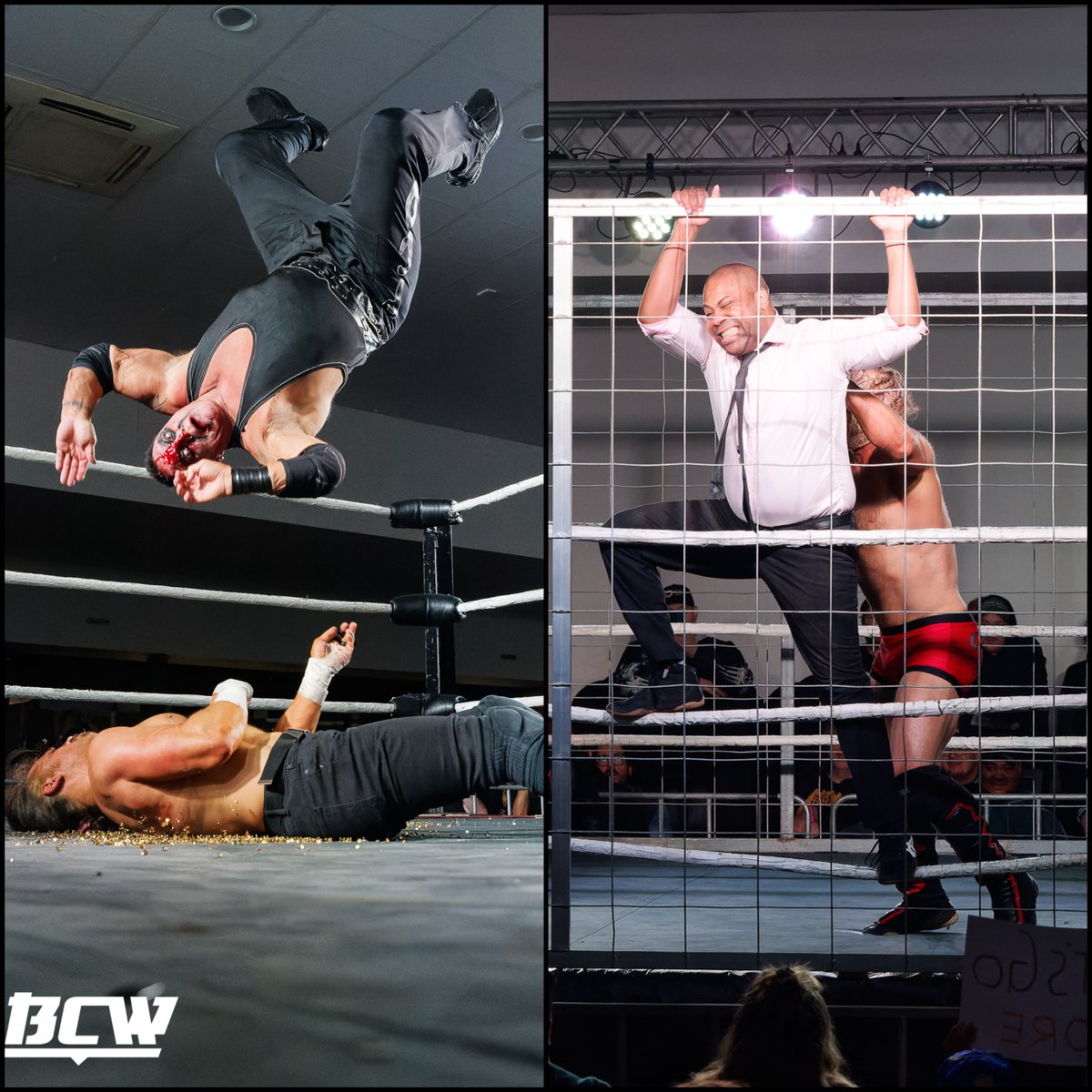 BCW Pro Wrestling tweet media