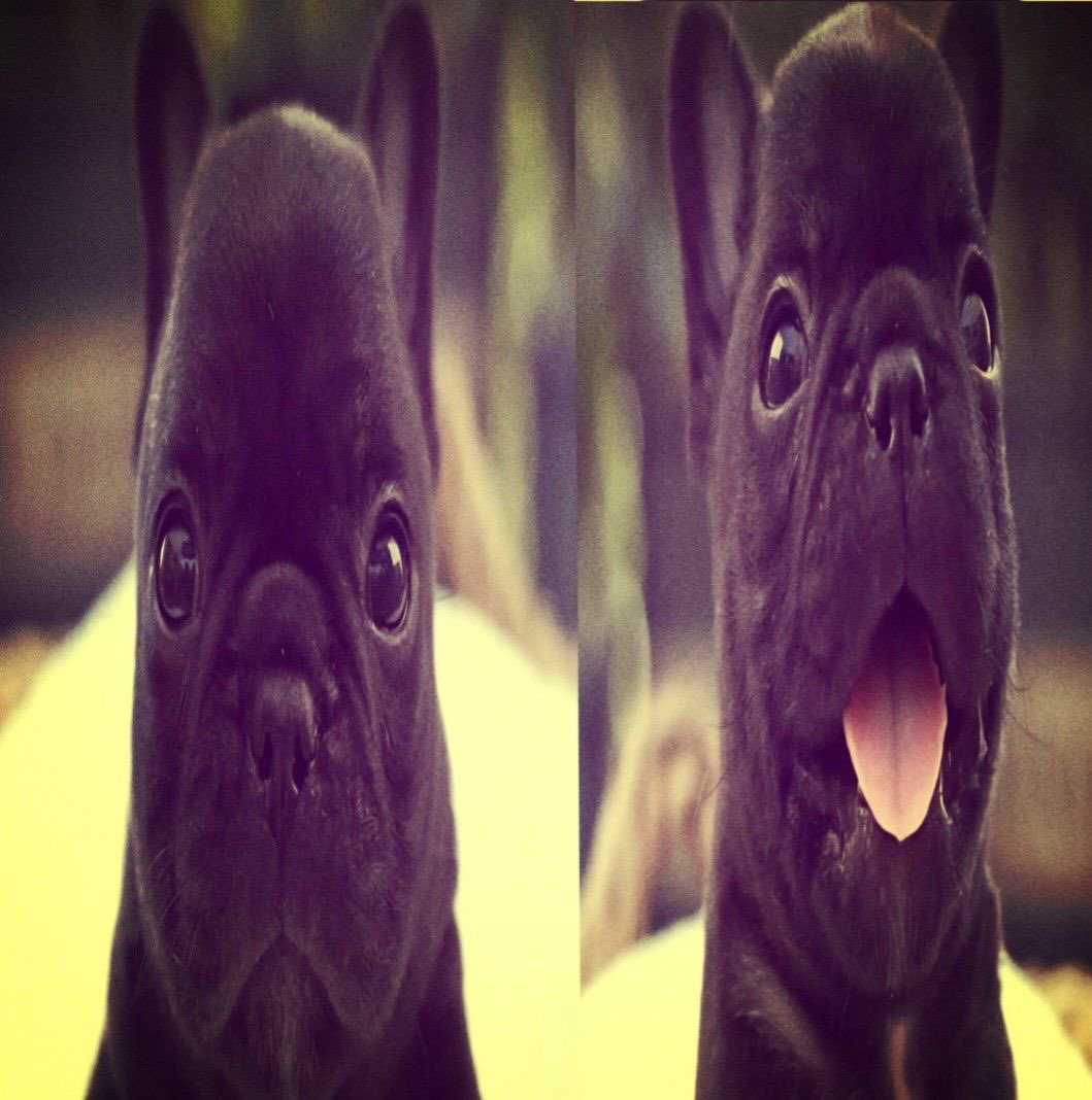 34rths's tweet image. Already looking forward to 2027