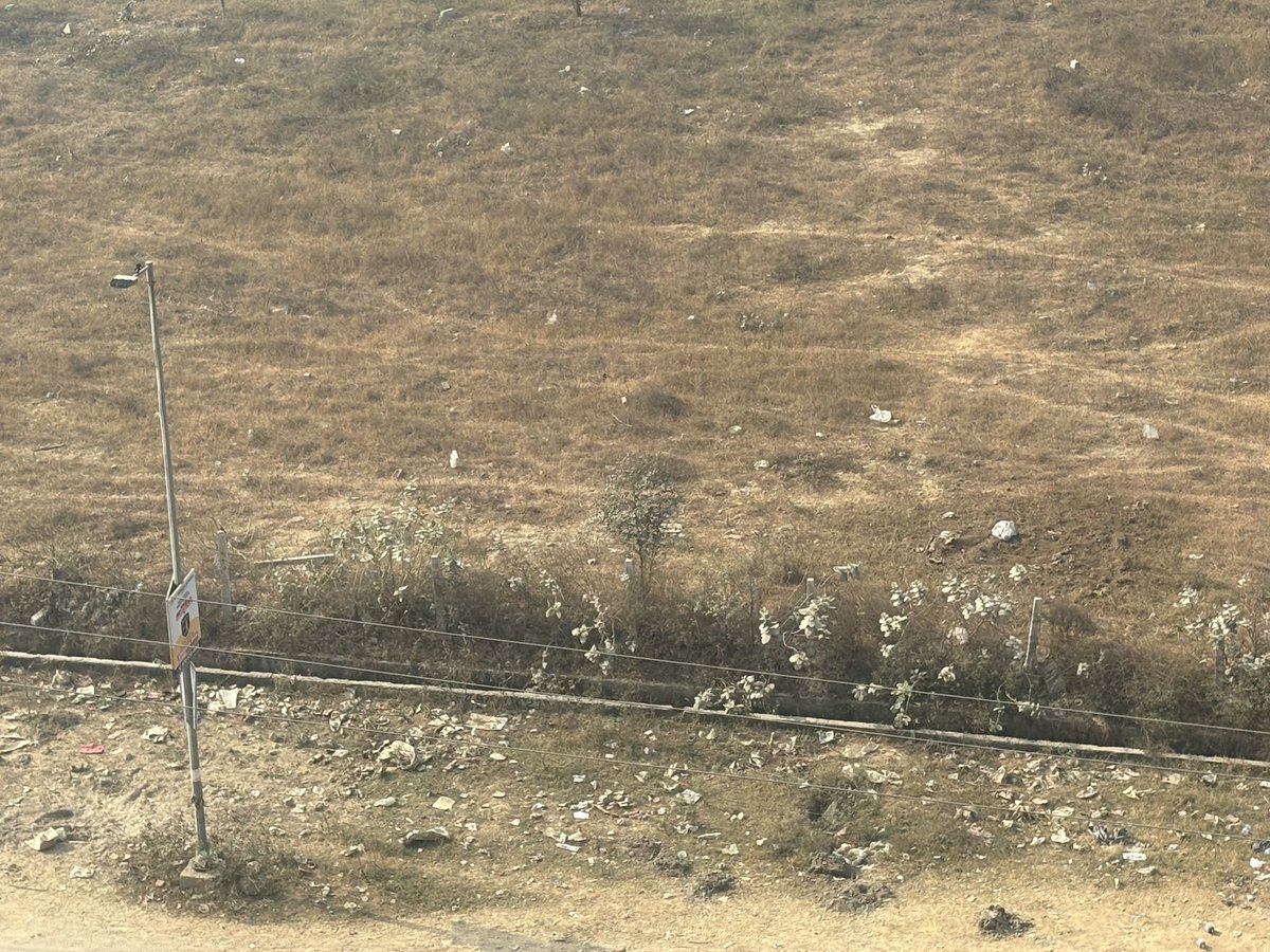 amanish71's tweet photo. This is so called Green belt under @OfficialGNIDA   We have never seen anyone cleaning this
Harmful for elders
Location
Sector 10 opposite Coco County Greater Noida West
@myogiadityanath @myogioffice @CeoNoida @PMOIndia @dr_maheshsharma @GreaterNoidaW https://t.co/8pmfqHIH6p