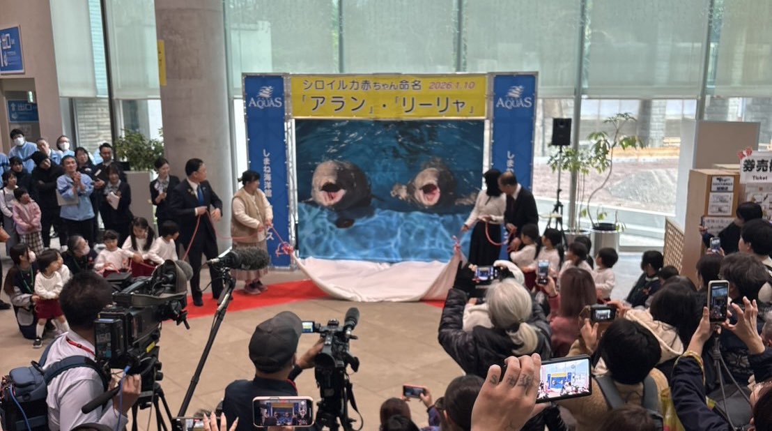 ぱぴこ (@pppppppapico) / Posts / X