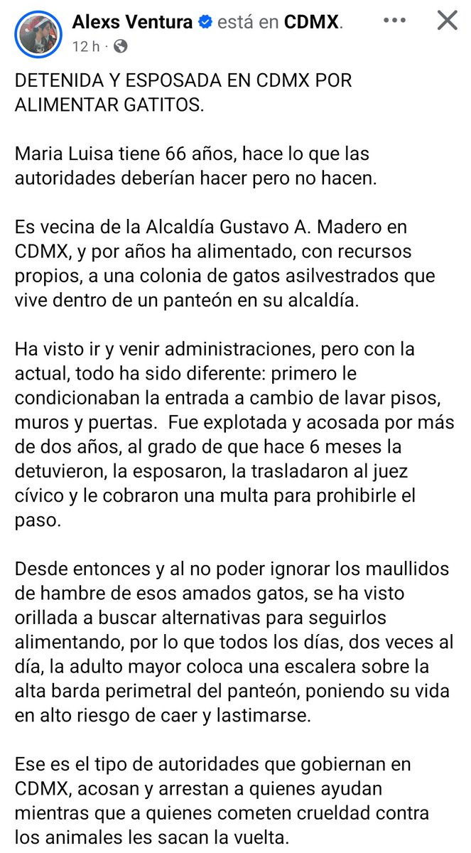 Abogado Animalista tweet media