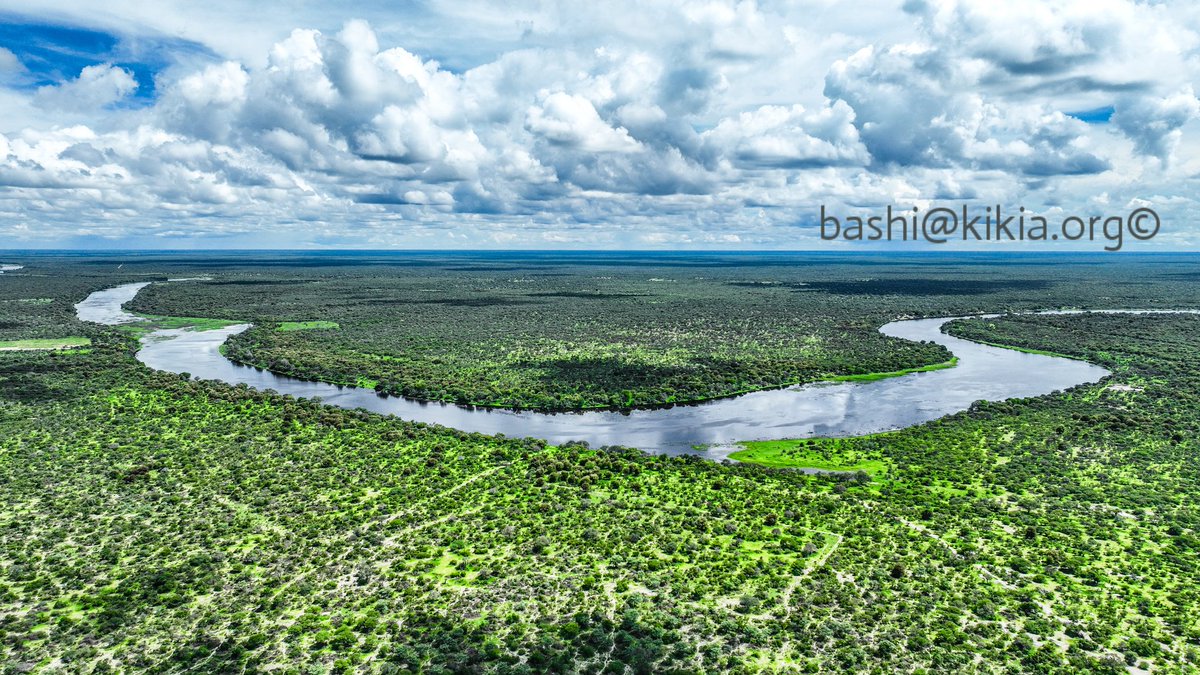 bashikikia's tweet photo. The mighty Boteti river near Makalamabedi village in Botswana 

#BotetiRiver #Makalamabedi #OkavangoDelta #AnnualFloods #Botswana https://t.co/20gqOG8dZm