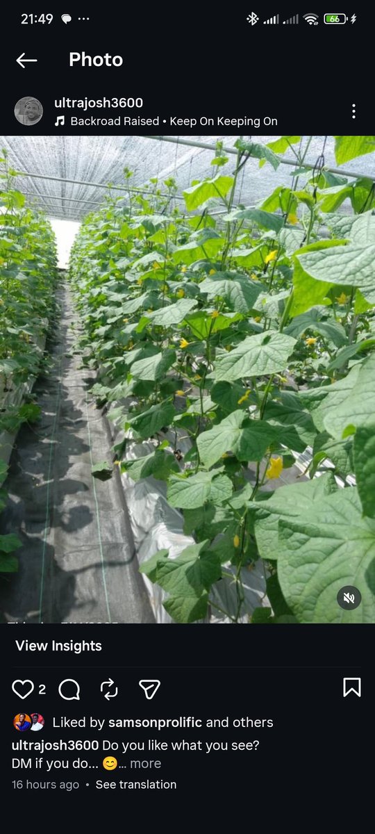 Ultrajosh360's tweet photo. Beautiful 😍 

#farmerjosh de #ultrajosh360 https://t.co/TCEXlLFczz
