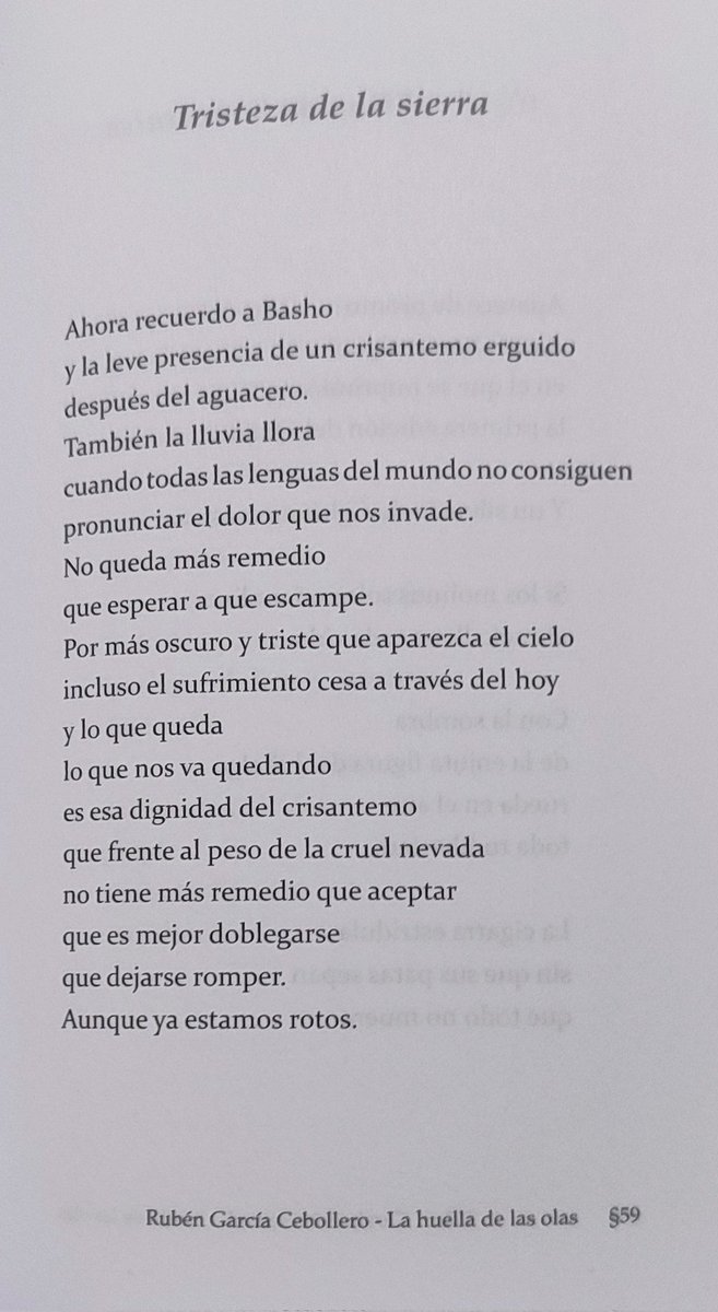 Que tengas un feliz sábado 🍀☕🫂