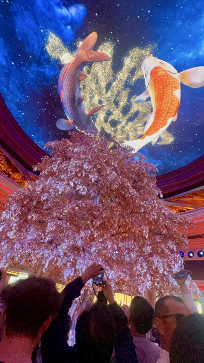 ウィンきたー！