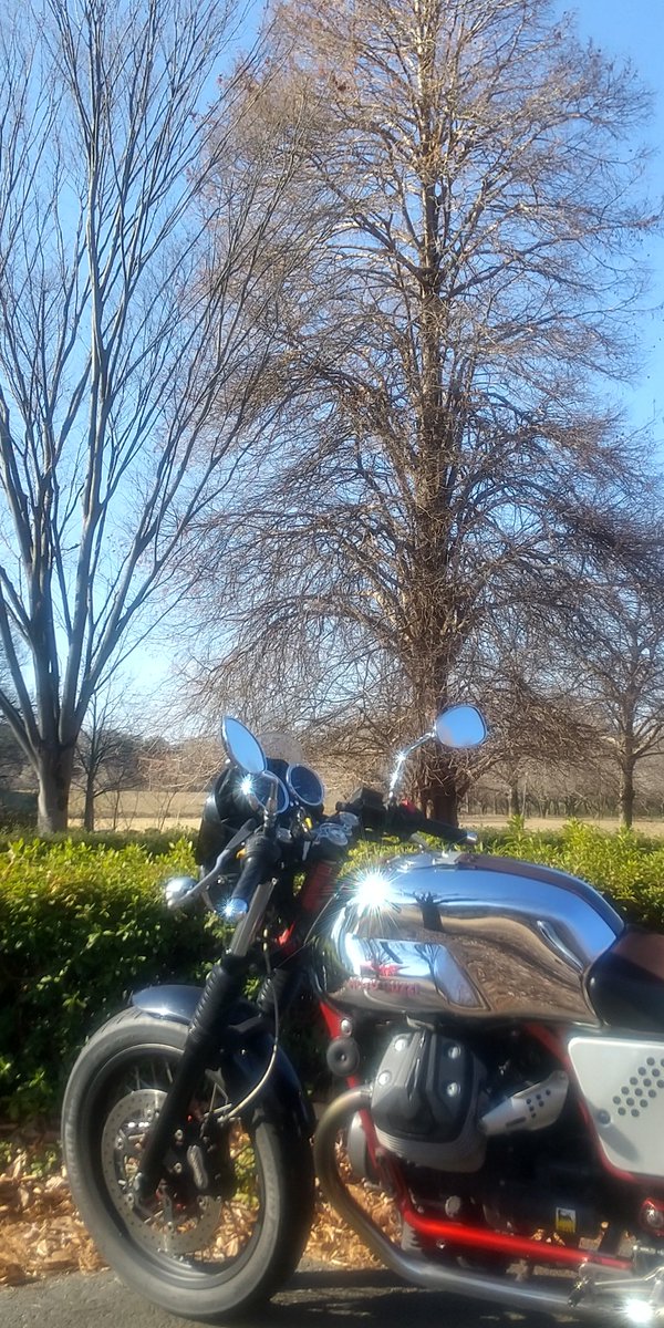 MotoGuzzi乗りケンマッサ (@BXF9Zx3kP4FvDQ2) / Posts / X