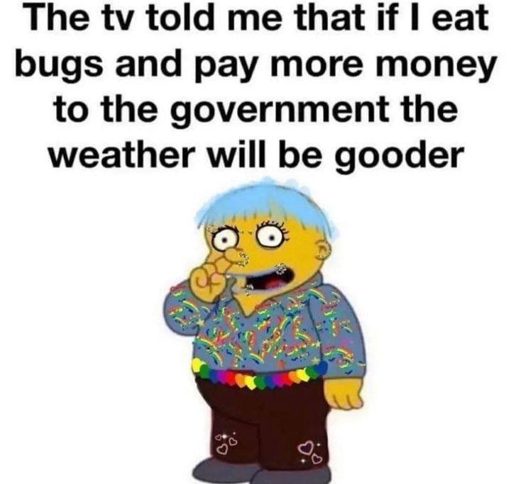 Bill Springer tweet media