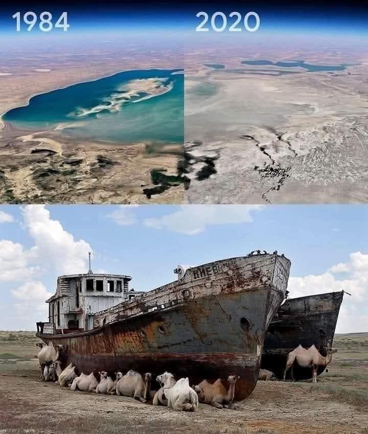 alifnagri's tweet photo. بحیرہ ارل قدیم زمانے سے قازقستان اور ازبکستان کے درمیان پھیلا ہوا تھا۔ اس کا رقبہ تقریباً 68,000 مربع کلومیٹر تک پہنچ جاتا تھا، یعنی آدھا پنجاب جتنا۔ یہ دنیا کا چوتھا بڑا اندرونی سمندر تھا۔ اس میں پانی دراصل دو بڑی ندیوں — آمودریا اور سیردریا — سے آتا تھا۔ صدیوں تک انہی دریاؤں نے اس سمندر کو زندہ رکھا، مچھلیوں کے ذخائر کو بڑھایا اور ساحلوں پر آباد بستیوں کو روزگار دیا۔

انیسویں اور بیسویں صدی کے وسط تک یہاں ایک مضبوط ماہی گیر معیشت موجود تھی۔ صرف ازبک اور قازق قصبوں میں سالانہ لاکھوں ٹن مچھلی پکڑی جاتی، فیکٹریاں چلتی تھیں، اور ہزاروں خاندان اسی پر زندہ رہتے تھے۔ بعض علاقوں میں گرم پانی کے چشمے بھی تھے جنہیں علاج اور آرام کے لیے استعمال کیا جاتا، اگرچہ سیاحت کبھی زیادہ فروغ نہ پا سکی۔

المیہ دراصل سوویت دور میں شروع ہوا۔ 1960 کی دہائی میں سوویت منصوبہ سازوں نے وسطی ایشیا کو “روئی کا سونا” بنانے کا فیصلہ کیا۔ آمودریا اور سیردریا کے پانی کو بڑے نہری نظاموں کے ذریعے کپاس، گندم اور دیگر فصلوں کے لیے موڑ دیا گیا۔ نظریہ یہ تھا کہ صحرا میں زراعت کو وسعت دی جائے — مگر اس کے نتیجے میں آرال سمندر کا فطری توازن ٹوٹ گیا۔ پانی سمندر تک پہنچنے کے بجائے کھیتوں میں ضائع ہونے لگا، لاکھوں ایکڑ پر زراعت تو بڑھی مگر سمندر سکڑنا شروع ہو گیا۔

1970 کی دہائی میں سطح نمایاں طور پر کم ہوئی۔ 1980 تک سمندر کا رقبہ تقریباً آدھا رہ گیا۔ 1990 کے بعد تو صورتحال تیزی سے بگڑی — پانی پیچھے ہٹتا گیا، ساحلی شہر دریا کے کنارے سے سینکڑوں کلومیٹر اندر رہ گئے، اور آخرکار سمندر مختلف حصّوں میں بٹ کر “چھوٹے آرال” اور “بڑے آرال” کے بے جان تالابوں میں بدل گیا۔

جہاں کبھی پانی تھا، وہاں نمک آلود صحراء پھیل گئی۔ ریت اور نمک کے طوفان اٹھنے لگے جن میں کھادوں اور کیمیائی زہروں کے ذرات شامل تھے، جو برسوں تک زمین پر گرتے رہے۔ اس کے نتیجے میں:

زرعی زمینیں بگڑ گئیں

پینے کے پانی کے ذخائر آلودہ ہوئے

سانس اور دل کے امراض بڑھے

ماہی گیری اور مقامی صنعتیں ختم ہو گئیں

کُنڑاز، موئناک اور دیگر ساحلی قصبے کھنڈرات میں بدل گئے۔ بندرگاہیں ریت میں دفن ہو گئیں۔ آج وہاں زنگ آلود جہاز کھڑے ہیں — جیسے کسی وقت کے خواب کی قبریں ہوں۔

ماہرین کے مطابق آرال کے خشک ہونے سے خطّے کا موسم بھی بدل گیا۔ گرمیوں میں درجہ حرارت زیادہ ہو گیا، سردیاں سخت ہو گئیں، اور بارشوں کا نظام متاثر ہوا۔ یوں ماحول، معیشت اور انسانی صحت — سب پر کاری ضرب لگی۔

گزشتہ برسوں میں قازقستان نے “نارتھ آرال” کو بچانے کے لیے ڈیم اور نہری اصلاحات کی کوششیں کیں، جس سے اُس حصے میں کچھ بہتری آئی۔ پانی کی سطح کچھ بڑھی، اور محدود پیمانے پر مچھلیاں واپس آئیں۔ مگر مجموعی طور پر اصل سمندر کا زیادہ تر حصہ اب ماضی کا قصہ بن چکا ہے۔

آرال سمندر کی کہانی ہمارے لیے ایک جیتی جاگتی تنبیہ ہے۔ یہ یاد دلاتی ہے کہ جب ترقی اور معاشی منصوبہ بندی ماحول کی حدود کو نظر انداز کر دے تو اس کی قیمت نسلیں ادا کرتی ہیں۔ پانی — جو زندگی ہے — اگر غلط استعمال اور بے تدبیری کا شکار ہو جائے تو شہروں، معیشتوں اور تہذیبوں کو ویران کر دیتا ہے۔

آج آرال کی ریت میں کھڑے زنگ آلود جہاز ہمیں خاموشی سے یہی سکھاتے ہیں کہ فطرت کو چیلنج کرنے سے پہلے اس کے اصولوں کو سمجھنا ضروری ہے۔ بصورتِ دیگر — سمندر ریت میں بدل جاتے ہیں، اور یادیں صحرا کی دھول میں گم ہو جاتی ہیں.

 #الف_نگری