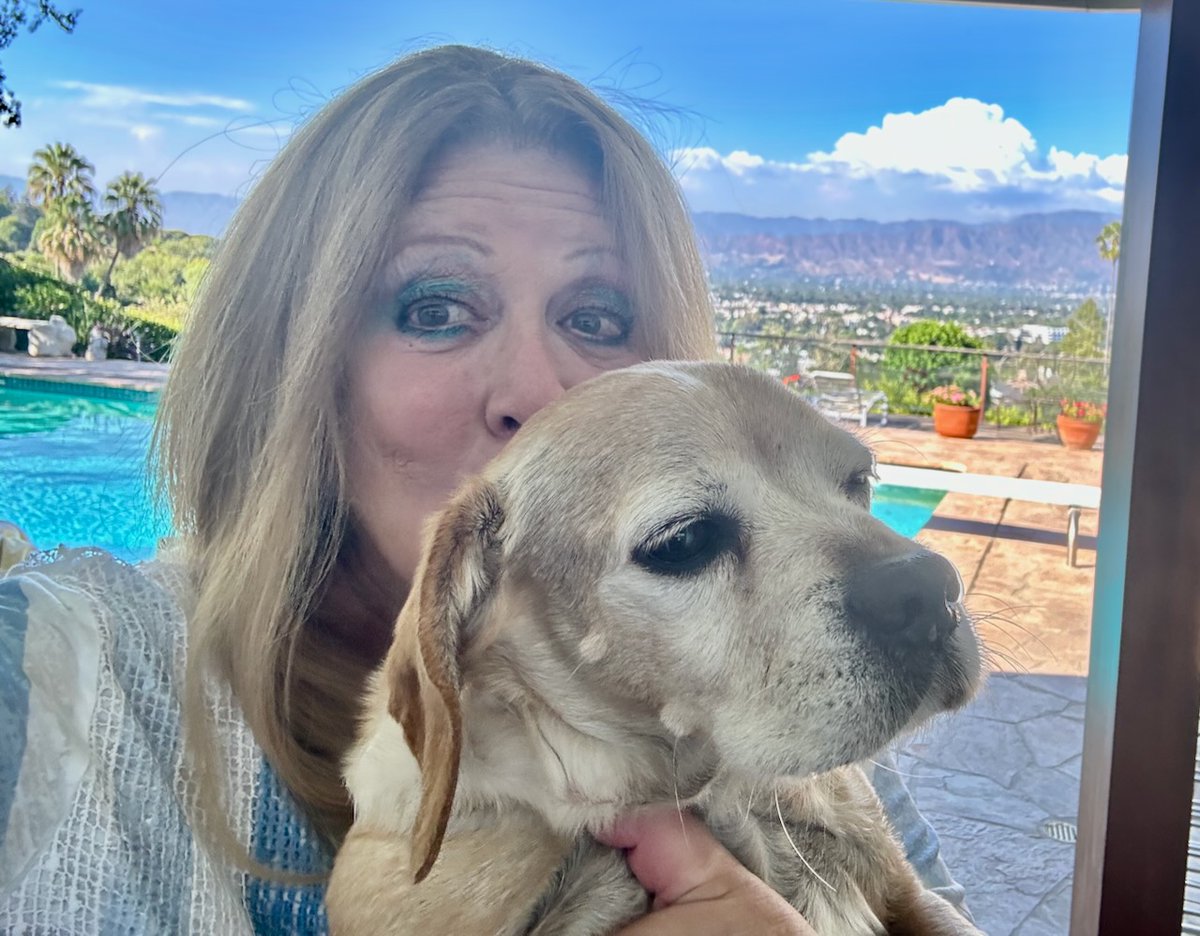 ElayneBoosler's tweet photo. Hey Peeps, remember if you donate to Steve Bluestein's birthday wish either on fb or directly at https://t.co/5qTXEWSEKP, just email me at elayne@tailsofjoy.net for a free link to the show I did in San Fransisco last week. THANKS! #tailsofjoy
https://t.co/Rsgpy9C2CQ https://t.co/IKLR2KnDHt