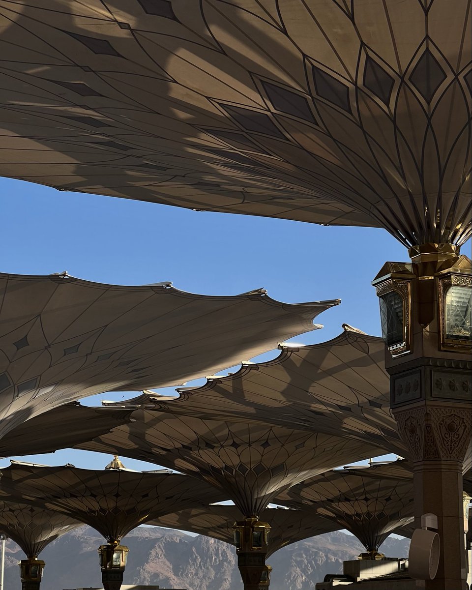 AlookatMadinah's tweet photo. #Madinah 🤍 https://t.co/9e2YL2z2nh