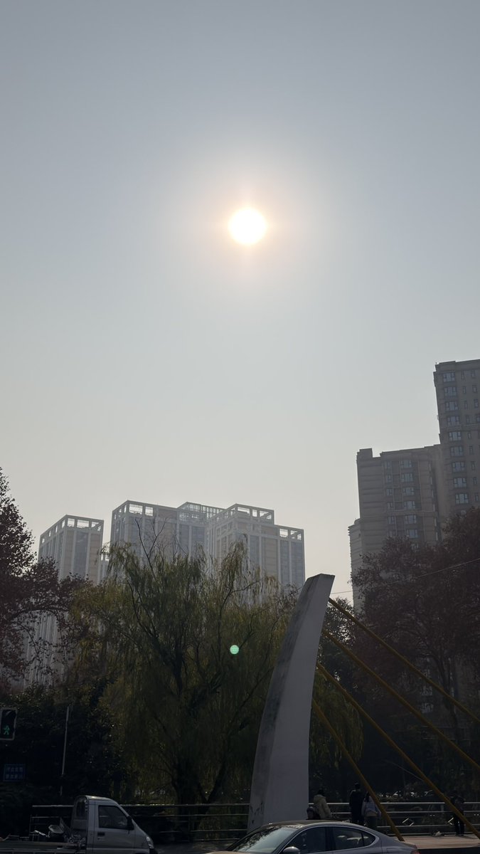 闲人老柳 tweet media