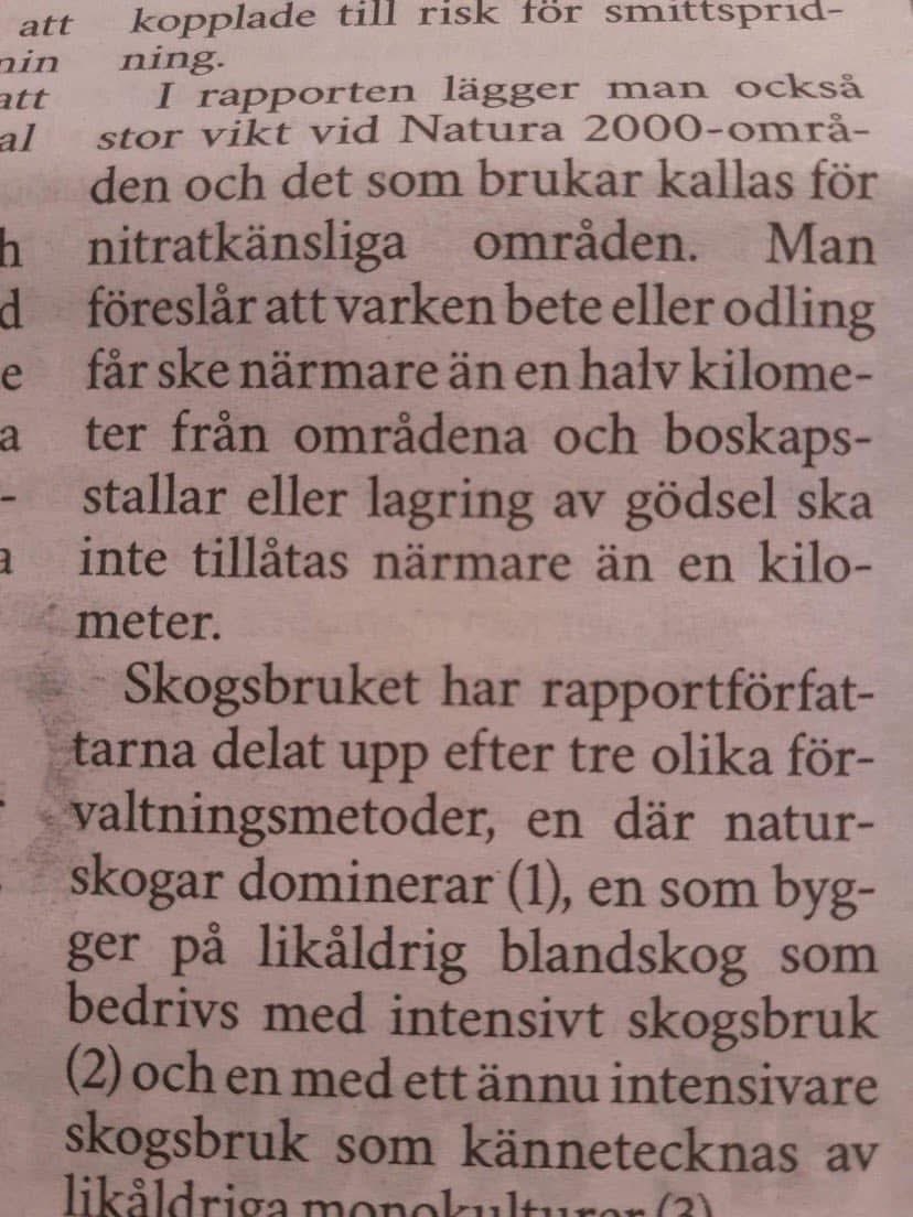 risalusofia's tweet image. Jaha det var planerat alltså. 

svt.se/nyheter/inrike…

Myndigheterna har krånglat till det så pass att du bara ska äta den av staten och EU godkända Ikeaköttbullen per dag. 

Alltså jag har inte nog med sarkasmer för detta längre. 

Vi påminner bara lite om deras våta drömmar…