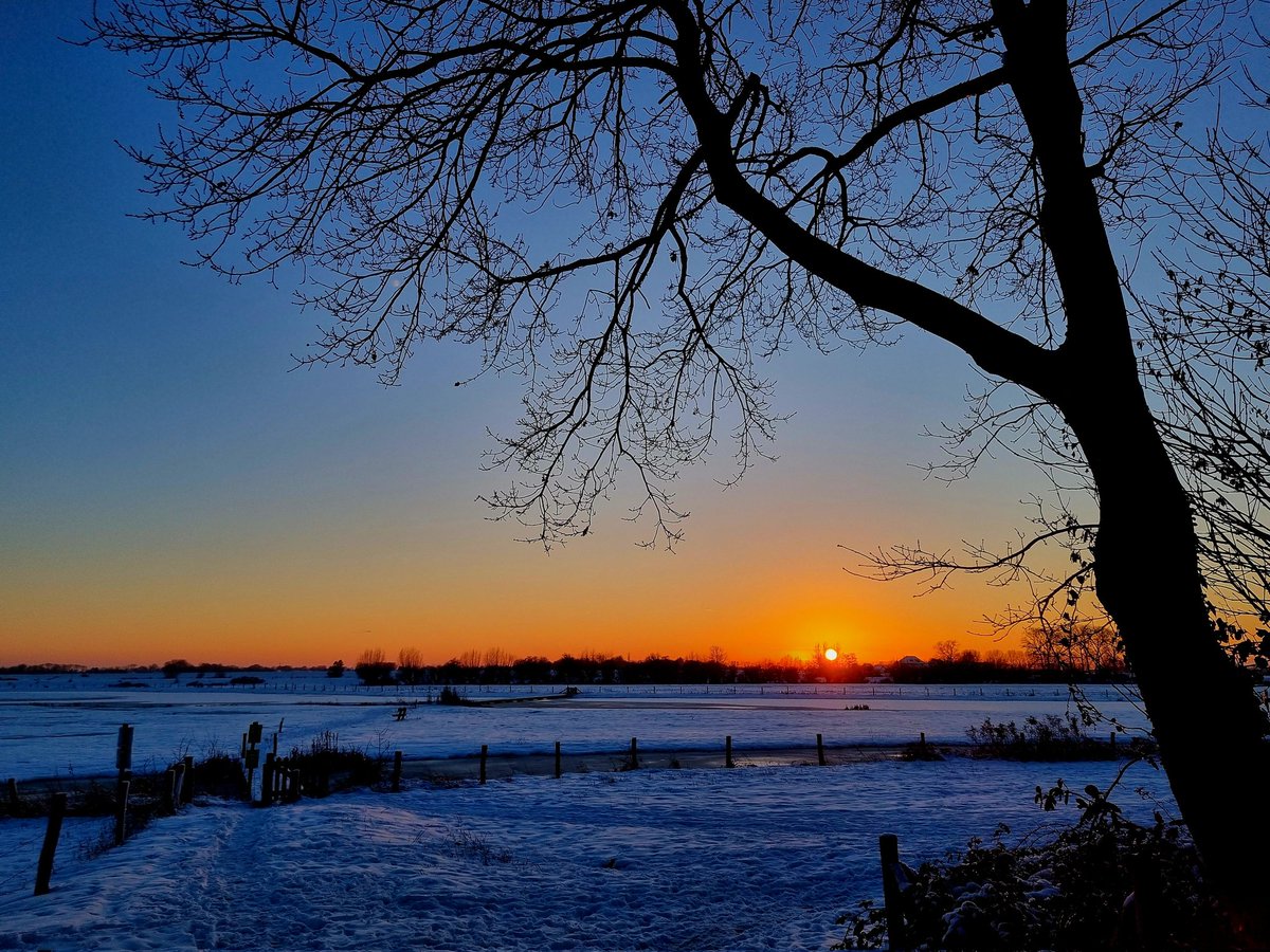 DietermanTjark's tweet image. Koud met in de loop van de dag meer zon. Fijne zaterdag😀 #zonsondergang