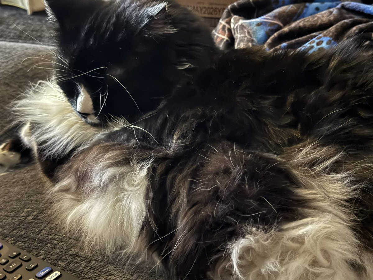 Joe Stone tweet media