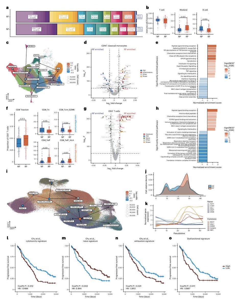 #Myeloma Paper of the Day: A single-cell atlas (based on 1,397,272 cells from MMRF CoMMpass study) characterizes dysregulation of the bone marrow immune microenvironment associated with outcomes in patients with newly diagnosed multiple myeloma: pubmed.ncbi.nlm.nih.gov/41514053/. #mmsm