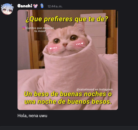 MonCherryVT ⭐🪇 tweet media