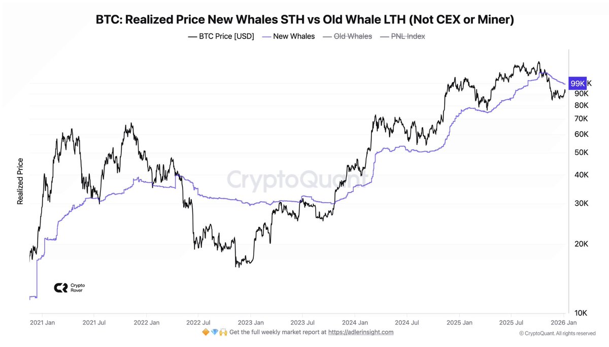 Cuando las ballenas compran arriba y el precio cae, quedan en pérdidas.  Cuando el precio vuelve a su compra (≈ $99k), muchas venden para no perder,  y eso crea resistencia. Zona clave