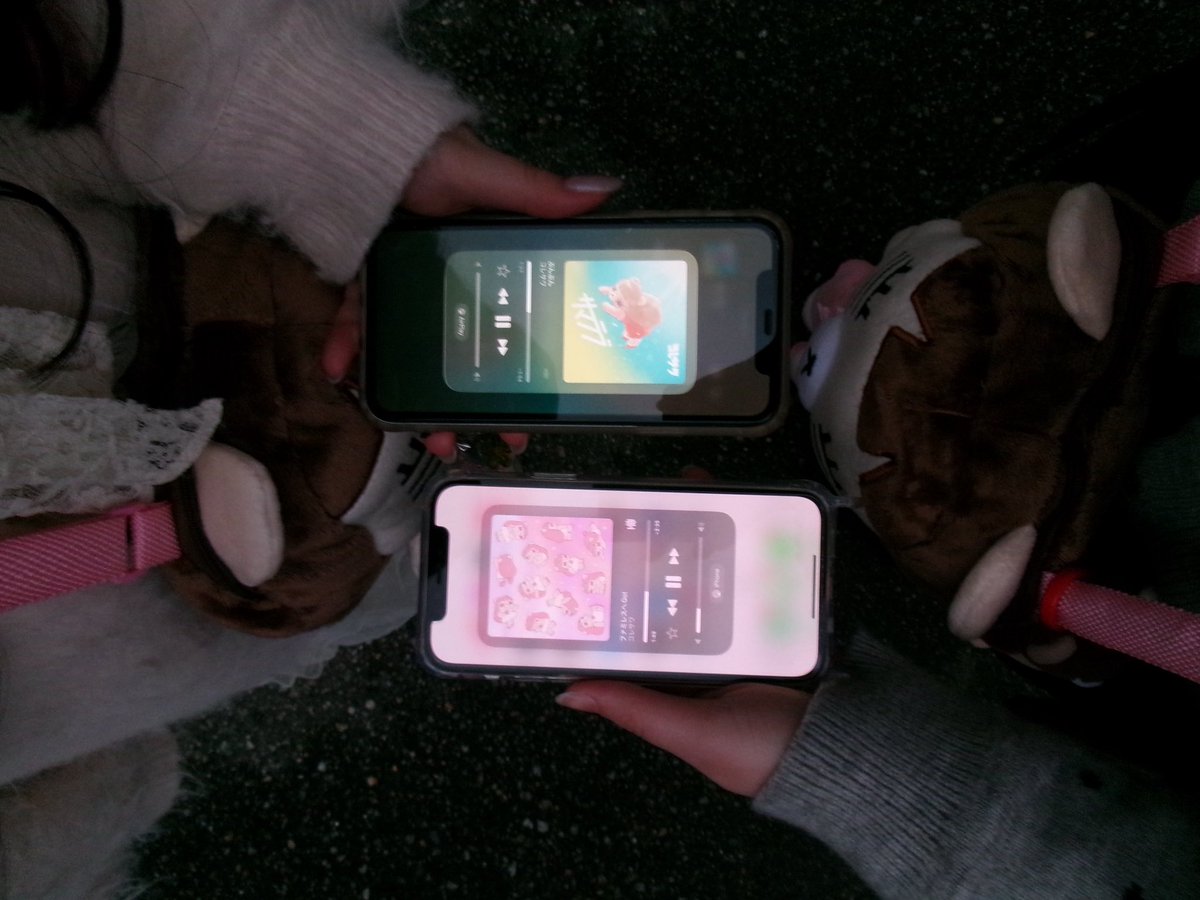 りちゃん tweet media