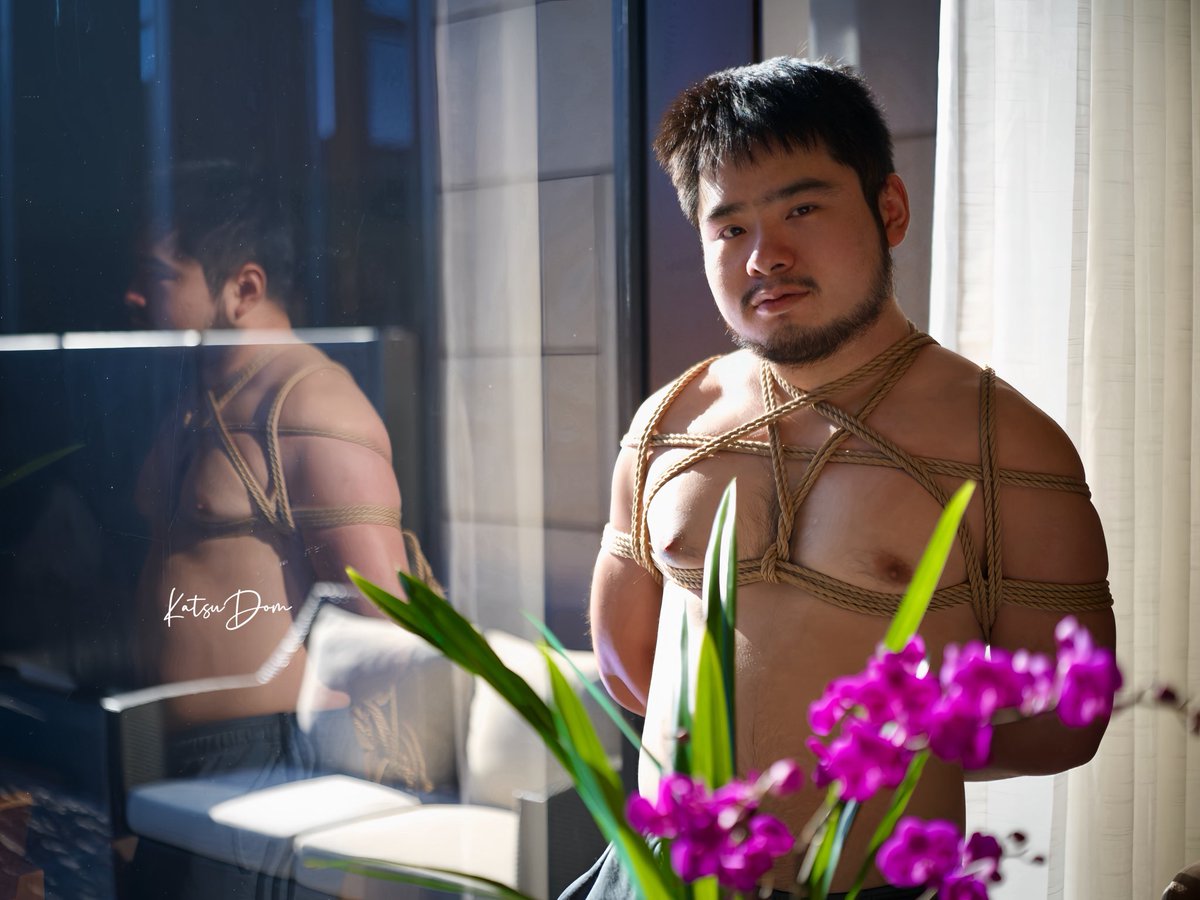 赵旭日 tweet media