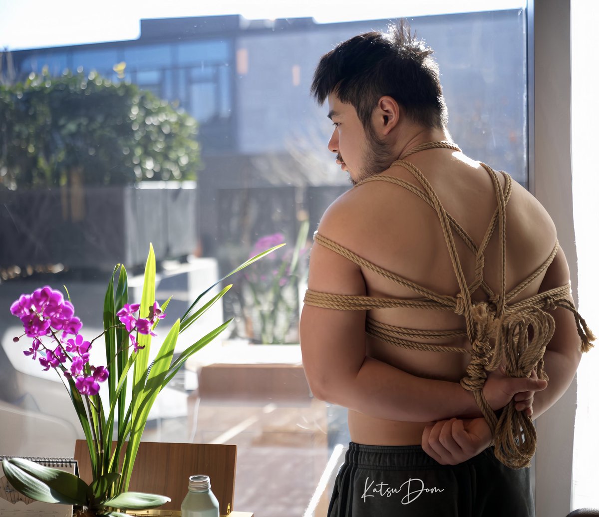 赵旭日 tweet media