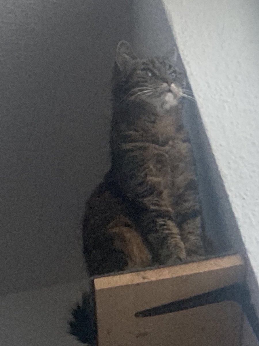 marie 💤 tweet media