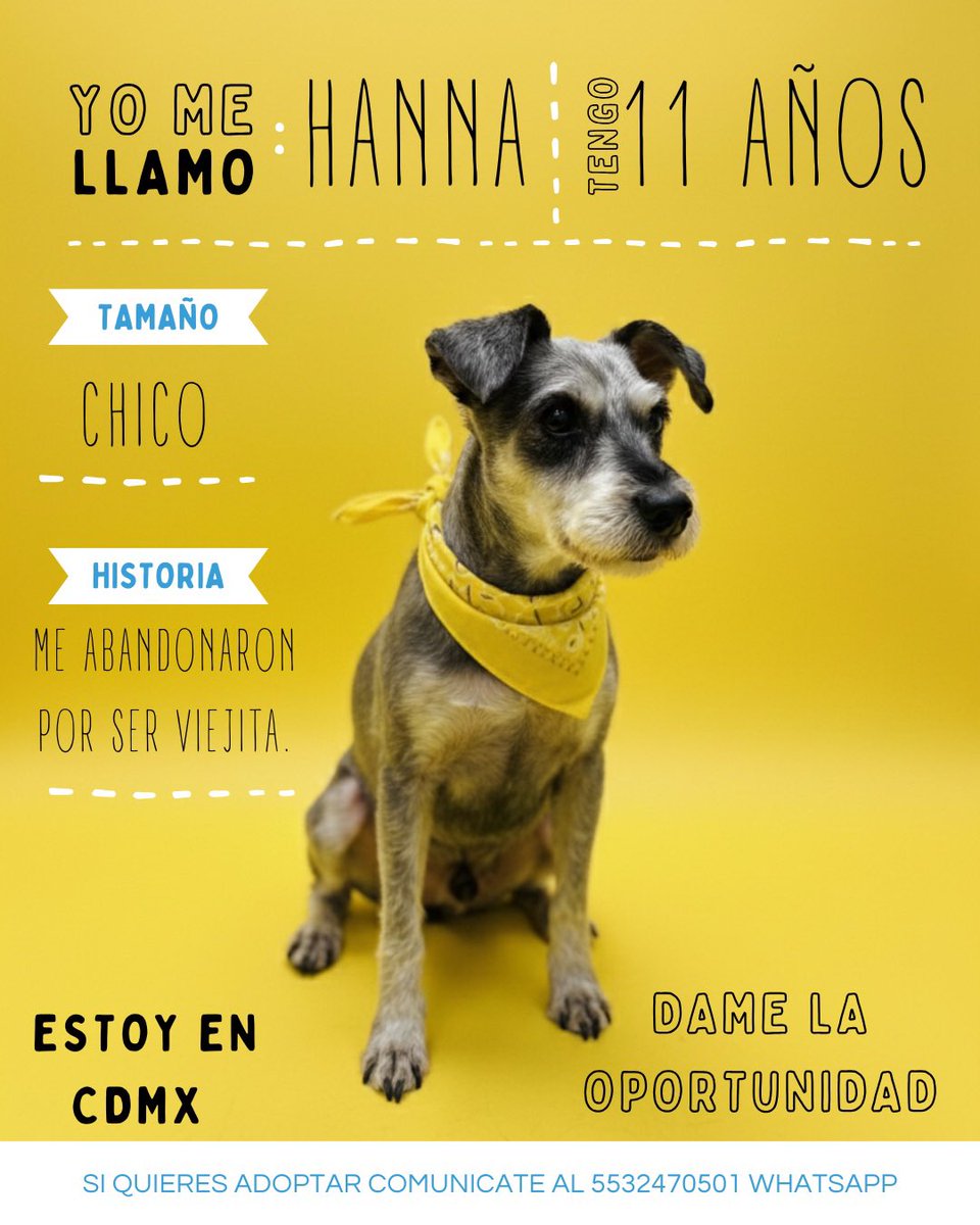 HELA_MORE's tweet photo. Aún no conseguimos familia para nuestra abuelita Hanna.🥺

Estamos en CDMX. https://t.co/O4uOwNbDcl