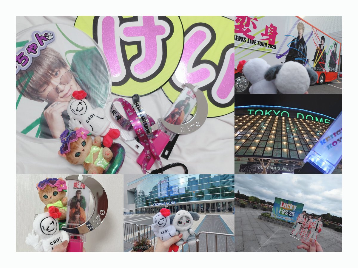 しろねこ tweet media