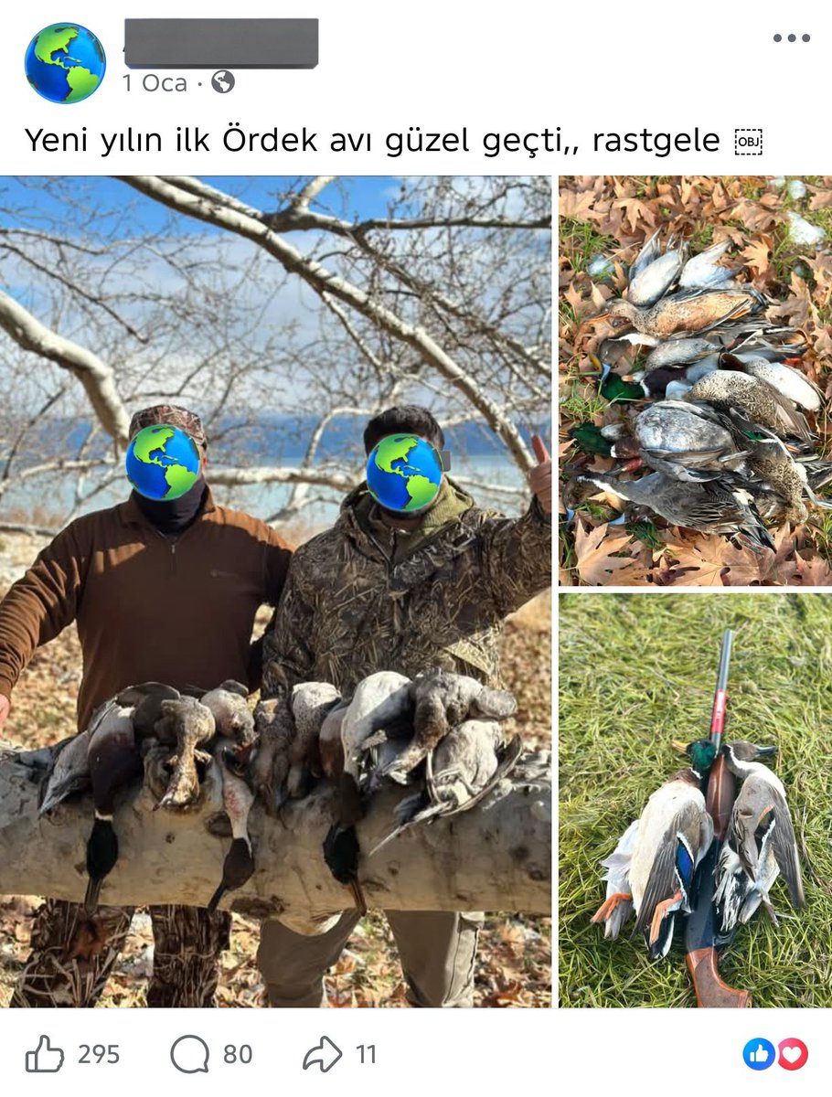 Av spor değil Cinayettir 
Bunca Can'ı öldürüp poz veriyor 
Bugün bu can'a kıyan ve sevinen birisinde merhamet vicdan yoktur
Yabani hayvan zaten yok denilecek kadar az birde devlet eliyle izinli az olan hayvanları öldürüyorlar 
Üstüne keyfî öldürenler ile kaçak avcılar da var