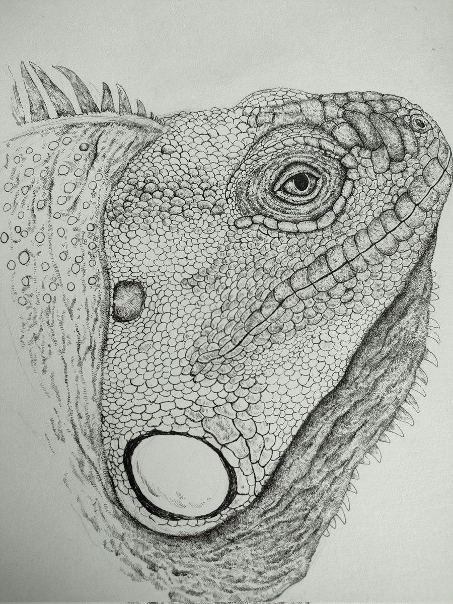 今の所上手く描けてる